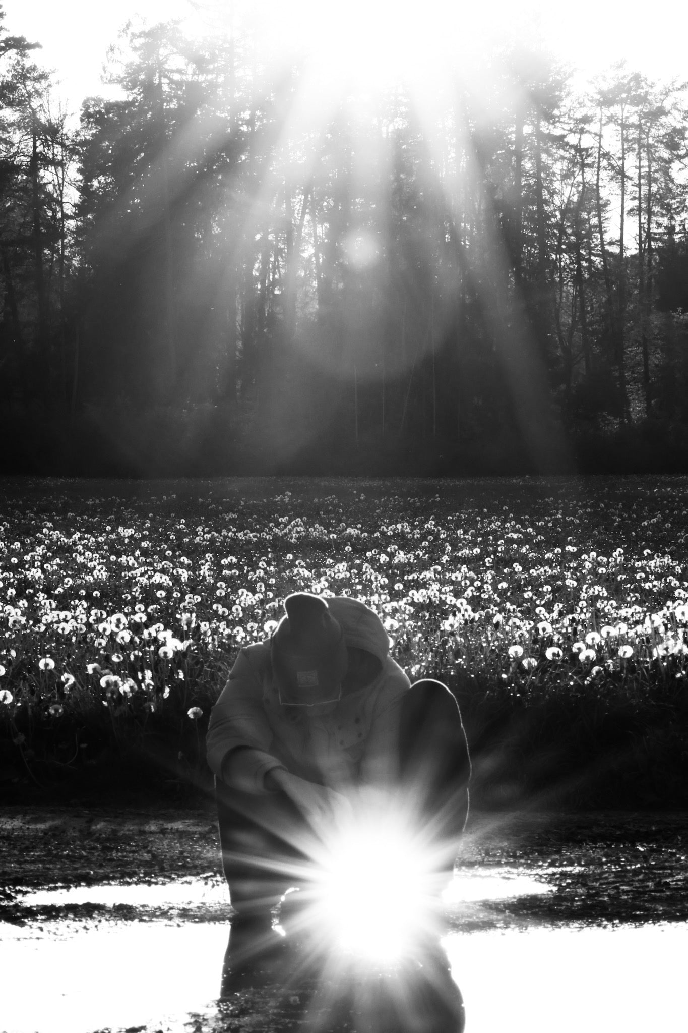 Catching Sunlight - Einzelstück auf Leinwand (40x60cm)