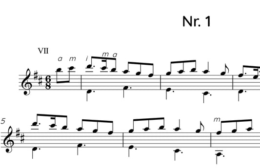 Gitarenstück Nr.1 (Mittelschwer)